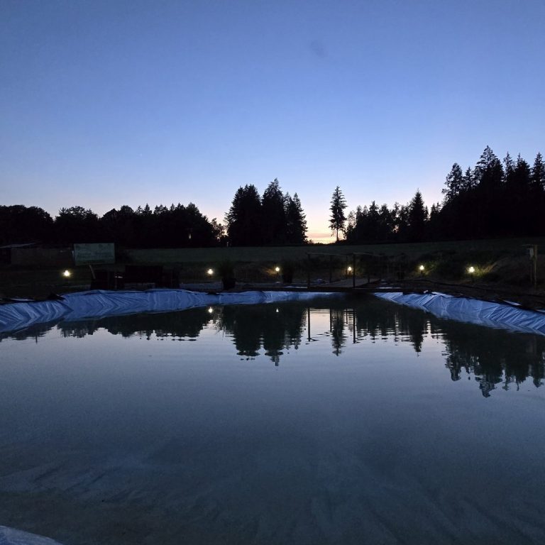 Schwimmteich